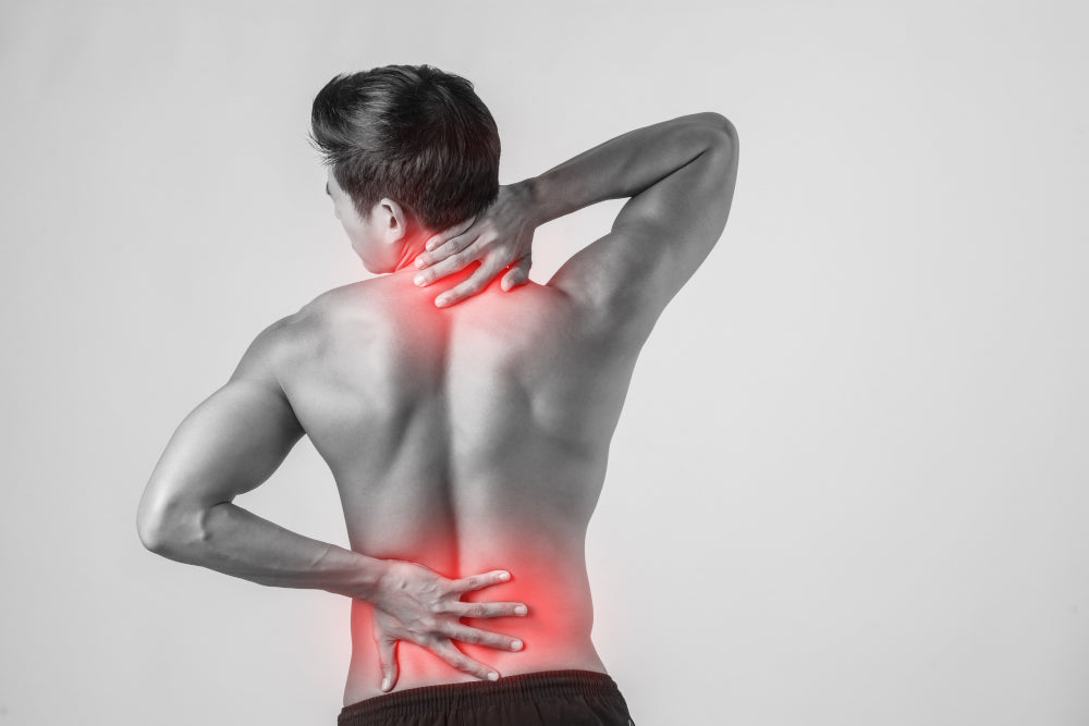 Pain and Inflammation